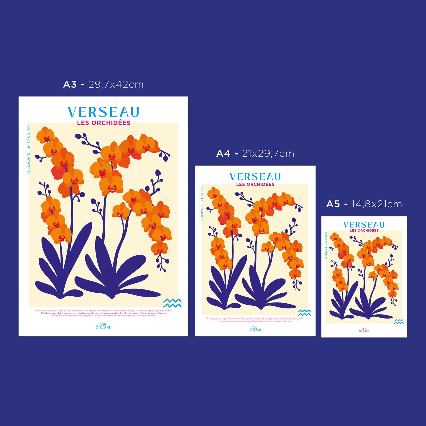 Verseau - Les Orchidées