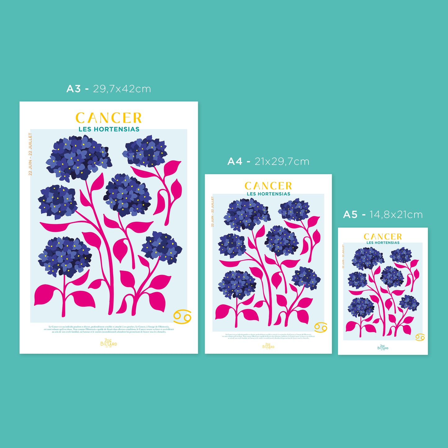 Cancer - Les Hortensias
