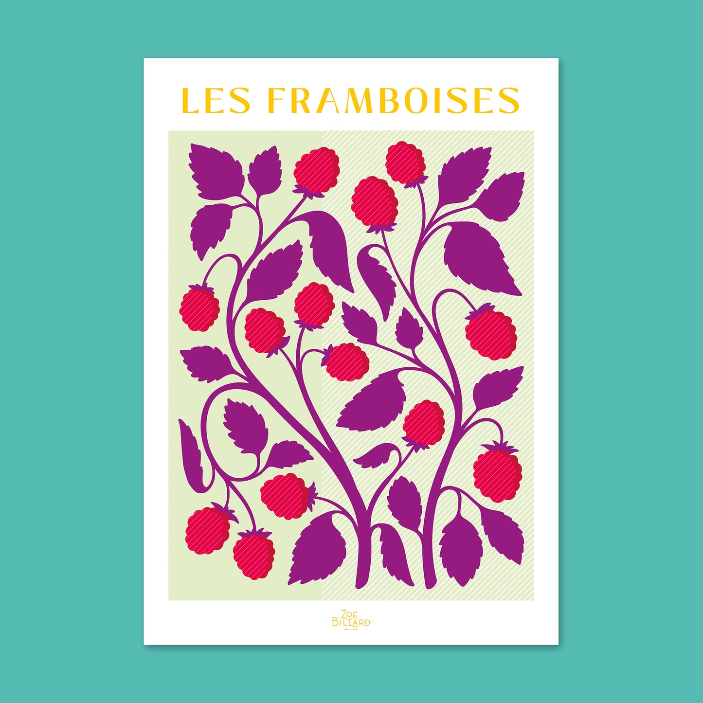 Pack de 4 - Les Framboises - Les Myrtilles - Les Mûres - Les Fraises