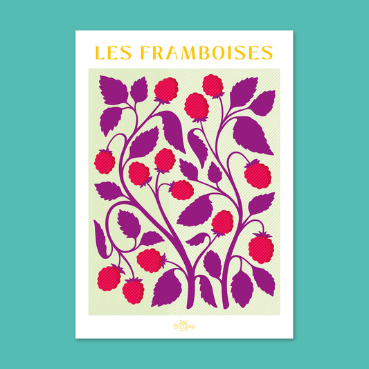 Pack de 4 - Les Framboises - Les Myrtilles - Les Mûres - Les Fraises
