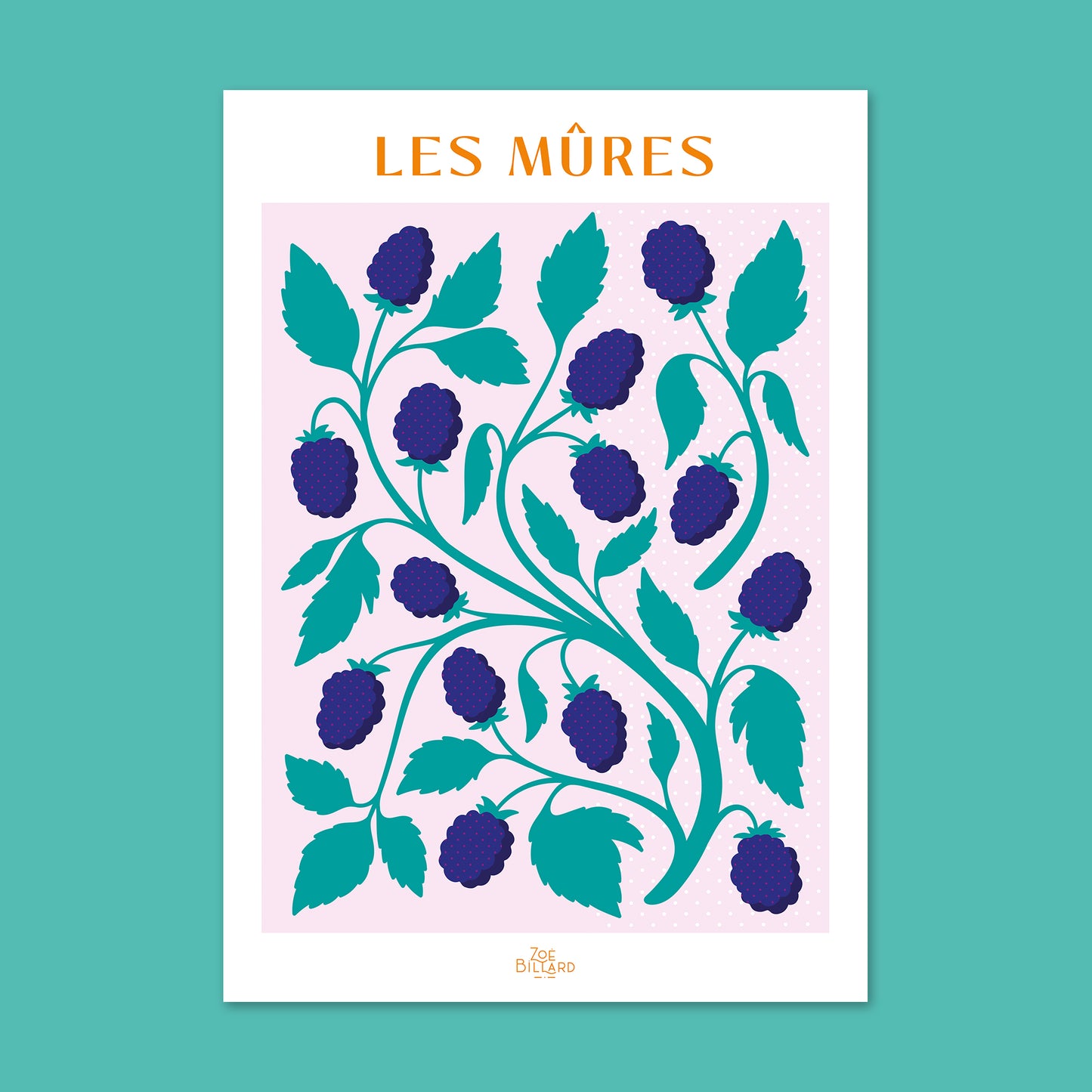 Pack de 4 - Les Framboises - Les Myrtilles - Les Mûres - Les Fraises