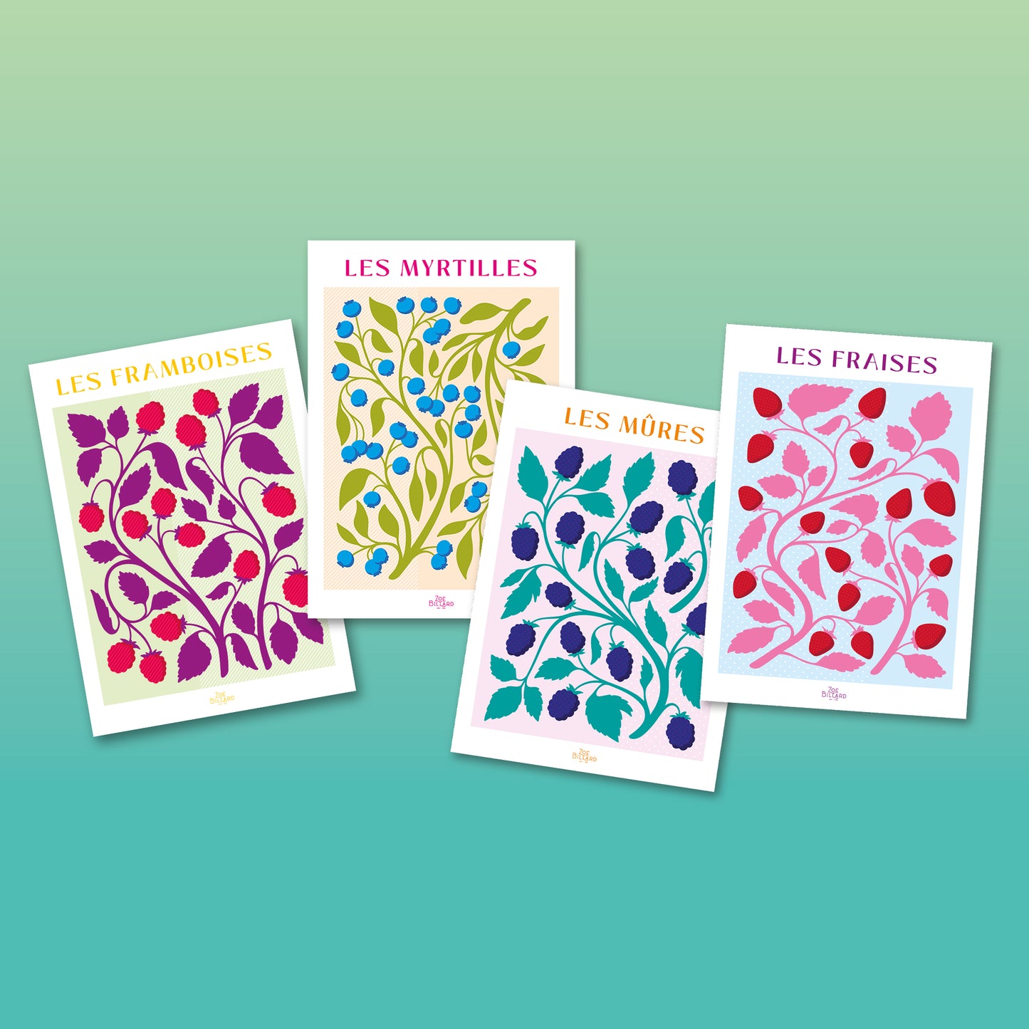 Pack de 4 - Les Framboises - Les Myrtilles - Les Mûres - Les Fraises