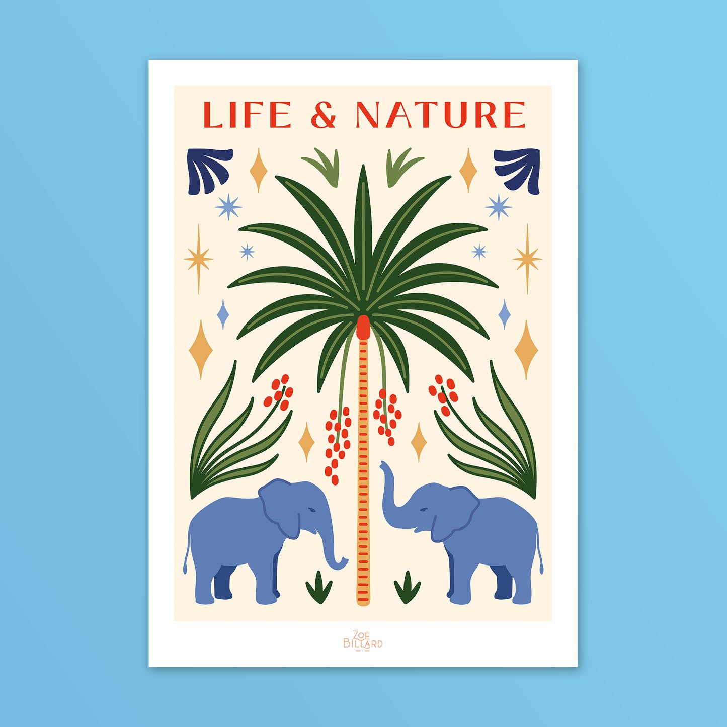 Life & Nature