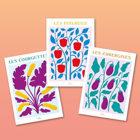 Pack de 3 - Les Courgettes - Les Poivrons - Les Aubergines