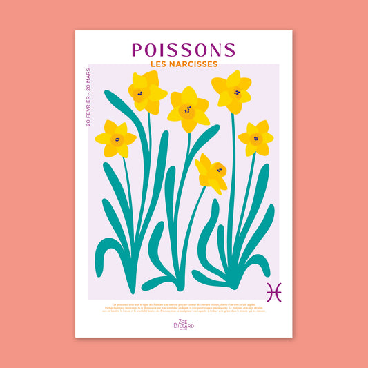Poissons - Les Narcisses